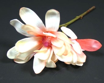 May include: A single white and peach flower with a pink center. The flower has a long stem and is arranged in a cluster of petals.