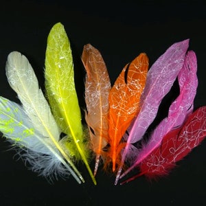 15 Painted Goose Feathers White Paint Feathers Craft Goose Feathers Unique Feathers Wedding Feathers Hat Embellishment