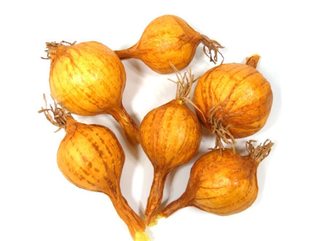 6 Fake Onions Artificial Onions Fake Vegetables Restaurant Etsy