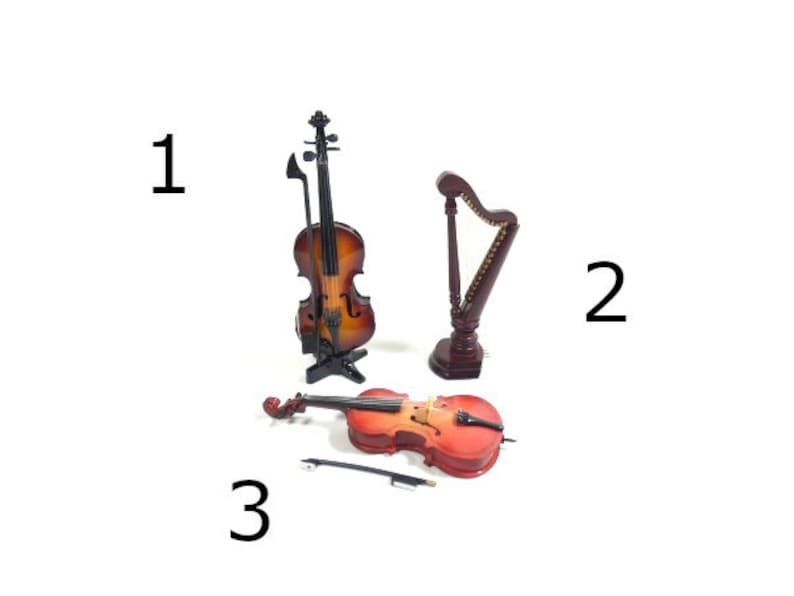 Golgner 12 stuks poppenhuis mini muziekinstrumenten model, miniatuur