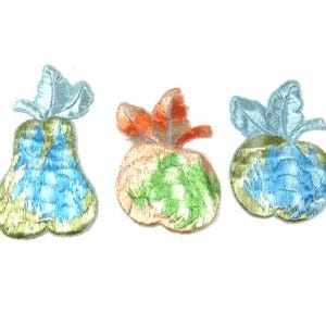 May include: Three embroidered fabric fruit patches. One is a pear with blue and green details, another is a pear with orange and green details, and the last is a pear with blue and green details.