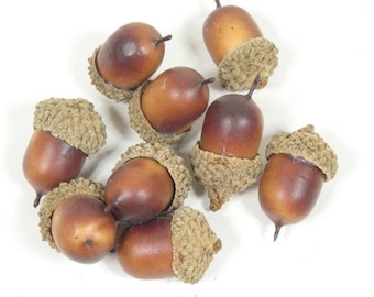 May include: A group of eight brown acorns with caps. The acorns are arranged in a cluster on a white background.