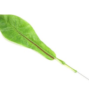 Op de afbeelding: Een enkel groen blad met een bruine streep in het midden, bevestigd aan een dunne, doorzichtige draad.