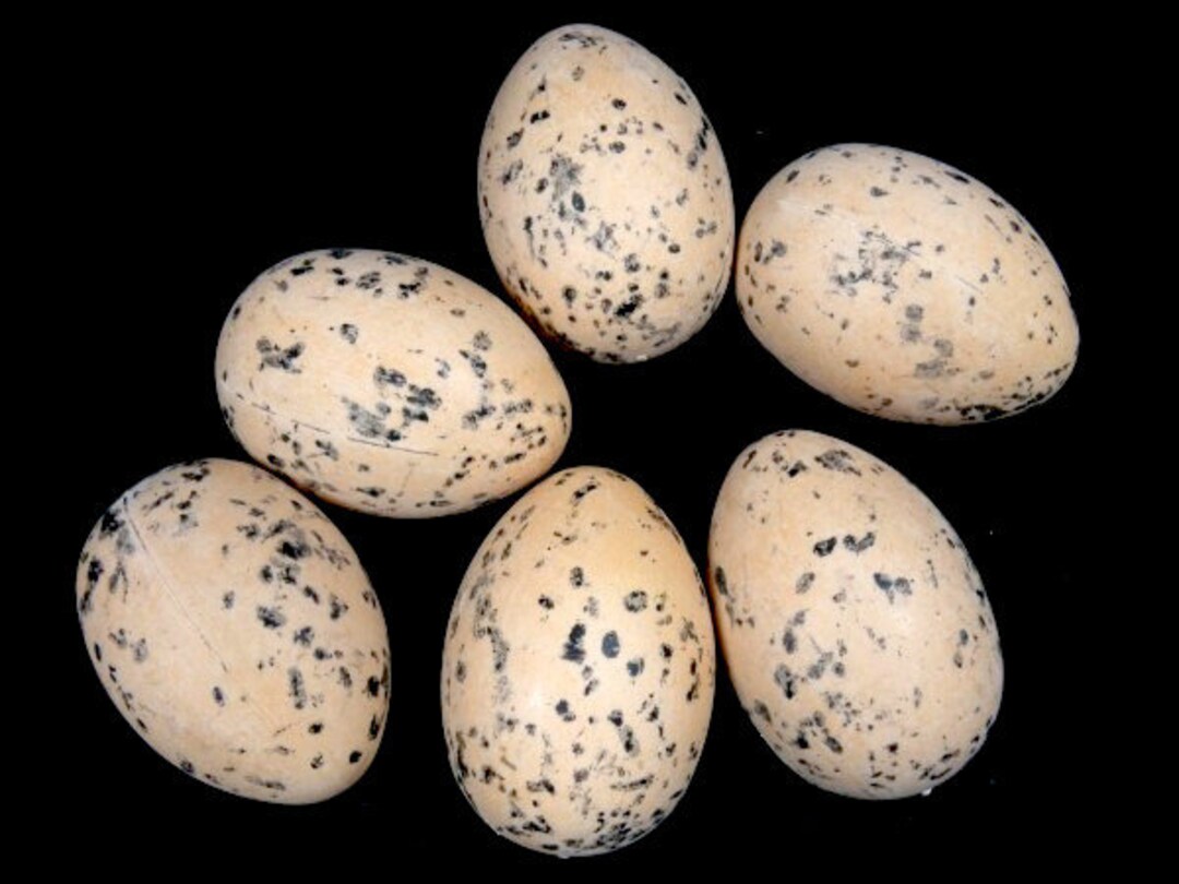 7 Speckled Eggs 2 5 Inches Bird Eggs Foam Mini Eggs Speckles Easter