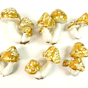 Beige Yellow Mottled Mushrooms Set Of 6 Fairy Garden Mushrooms Terrarium Brown Craft Mushrooms Cake Decorations Scrapbooking