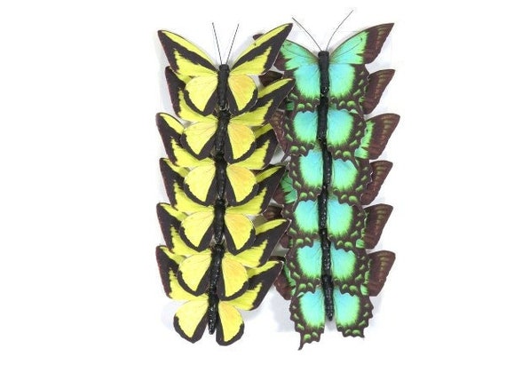 12 Dark Green Teal Glitter Butterflies Artificial Fake Butterfly