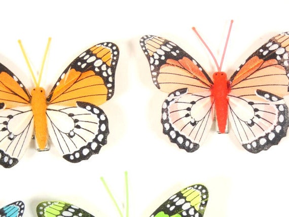 Orange Themed (fake) Butterfly Collection : 10 Steps (with Pictures) -  Instructables