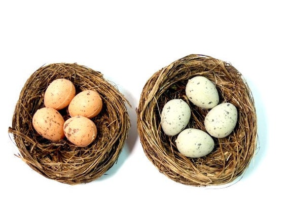 Teacode Bird S Nest 燕窝