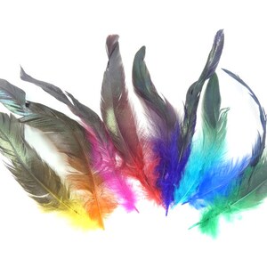 25 lang Huhn Federn Federn schillernden Federn einzigartige Federn Ohrring Federn Hut Federn Handwerk Hahnenfedern