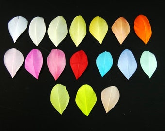 100 Mini Feathers White Craft Supplies Scrapbooking Embellishments Small White Feathers