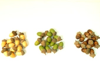 12 Wooden Acorns Light Brown Gold Green Or Brown Acorns Fairy Garden Terrarium Wreaths Craft Supplies Hat Embellishment Wreaths Scrapbooking