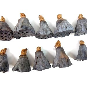 Lotus Mini 10 Pieces Fairy Garden Miniature Garden Fairy Hat Mini Hats Dried Decorations Dried Decor image 3