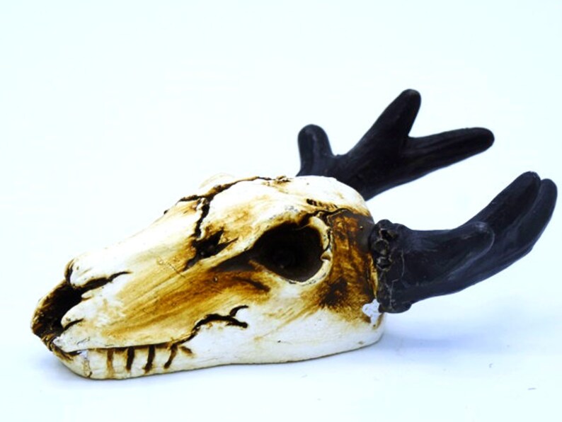 Small Animal Skull Fake Skull Artificial Skull Bull Skull Deer Etsy