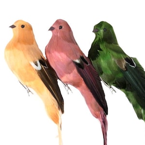 Könnte beinhalten: Drei dekorative Vögel aus Federn. Die Vögel sitzen auf einem weißen Hintergrund. Der Vogel links ist orange, der Vogel in der Mitte ist rosa und der Vogel rechts ist grün.