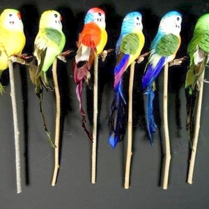 1 Parakeet Yellow Red Green Or Blue Artificial Bird Articifial Parakeet Cake Topper Craft Supplies Embellishments Parrot Cake Topper Nr 1