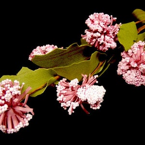 1 Pink Viburnum Snowball Branch Artificial Fake Bouquet Wreath Foam Flowers Hat Embellishment Fairy Flower Crown Flower Arrangement