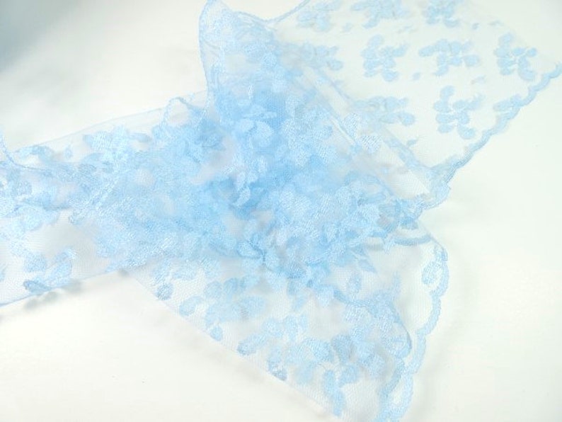 May include: Light blue lace trim with a delicate floral pattern.