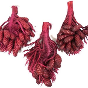 1 Red Twig With Pods Bouquet Wreath Flower Arrangement Centerpiece Hat Embellishment