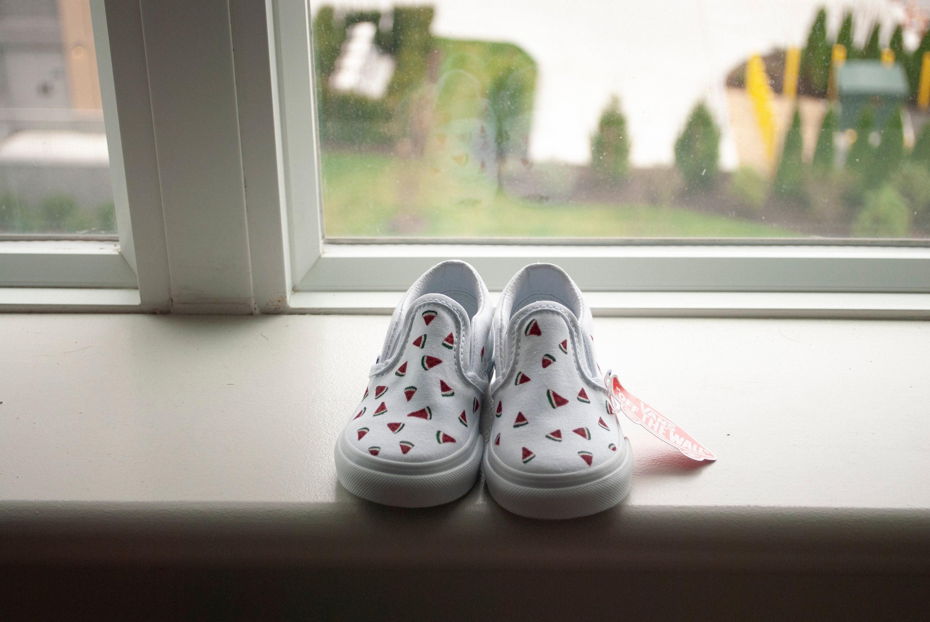 Toddler sales watermelon vans