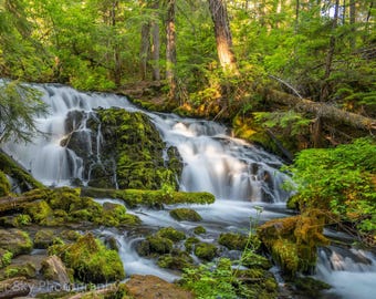 Könnte beinhalten: Ein Foto eines Wasserfalls, der über moosbewachsene Felsen in einem üppigen Wald fließt. Das Wasser erscheint durch seine Bewegung verschwommen, umgeben von grünem Laub und Bäumen. Das Bild fängt eine Naturlandschaft ein.