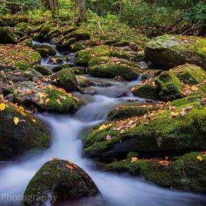 May include: A scenic photograph of a flowing stream cascading over moss-covered rocks. The rocks are covered in vibrant green moss and scattered with fallen yellow and brown leaves, creating a natural, autumnal scene. The water is blurred, suggesting motion.