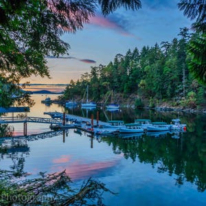 a serene harbor scene at sunset, with boats docked in the calm waters and lush green trees lining the shore.