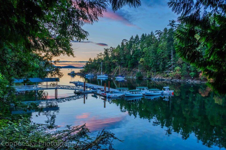 a serene harbor scene at sunset, with boats docked in the calm waters and lush green trees lining the shore.