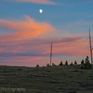 Op de afbeelding: Een landschapsfoto toont een volle maan in een schemerige hemel. De lucht is een mix van blauwe, roze en oranje tinten. Silhouetten van bomen en een grasveld op de voorgrond creëren een serene, natuurlijke scène.