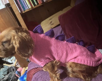 Dinosaur Dog jumper