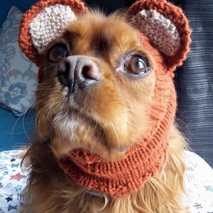 Dog snoods with ears