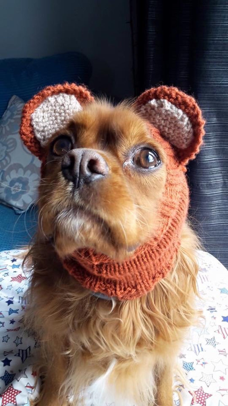 Dog snoods with ears image 1