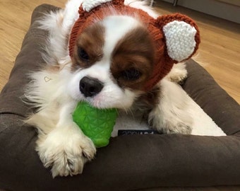 Hund SCHLAUCHSCHALS mit Ohren