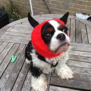 Teufel Hund Snood