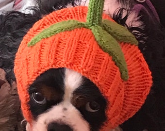 Pumpkin dog snood