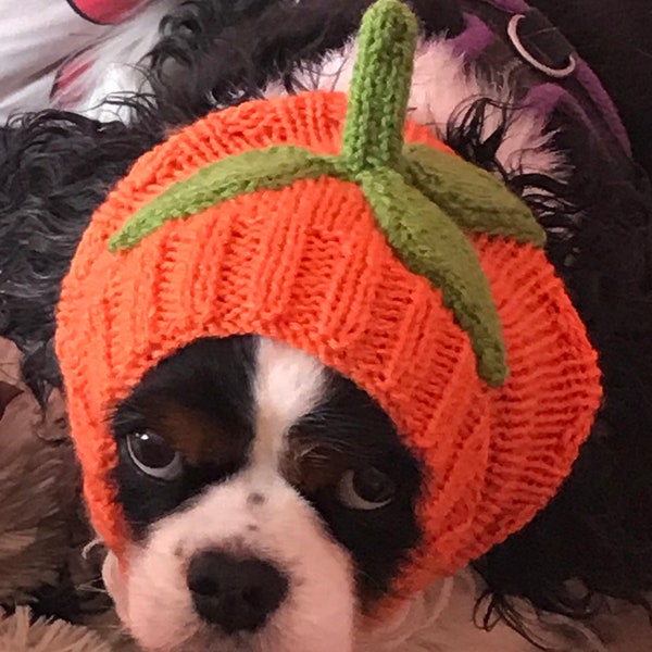 Pumpkin dog snood