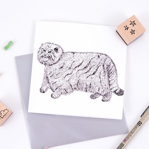 Tarjeta de felicitación del gato de Manul Pallas