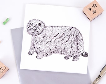 Manul Pallas’s Cat Greetings Card