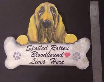 Bloodhound sign - Spoiled Rotten Bloodhound lives here