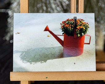 Watering can floral bucket 5x7 wall art photo print