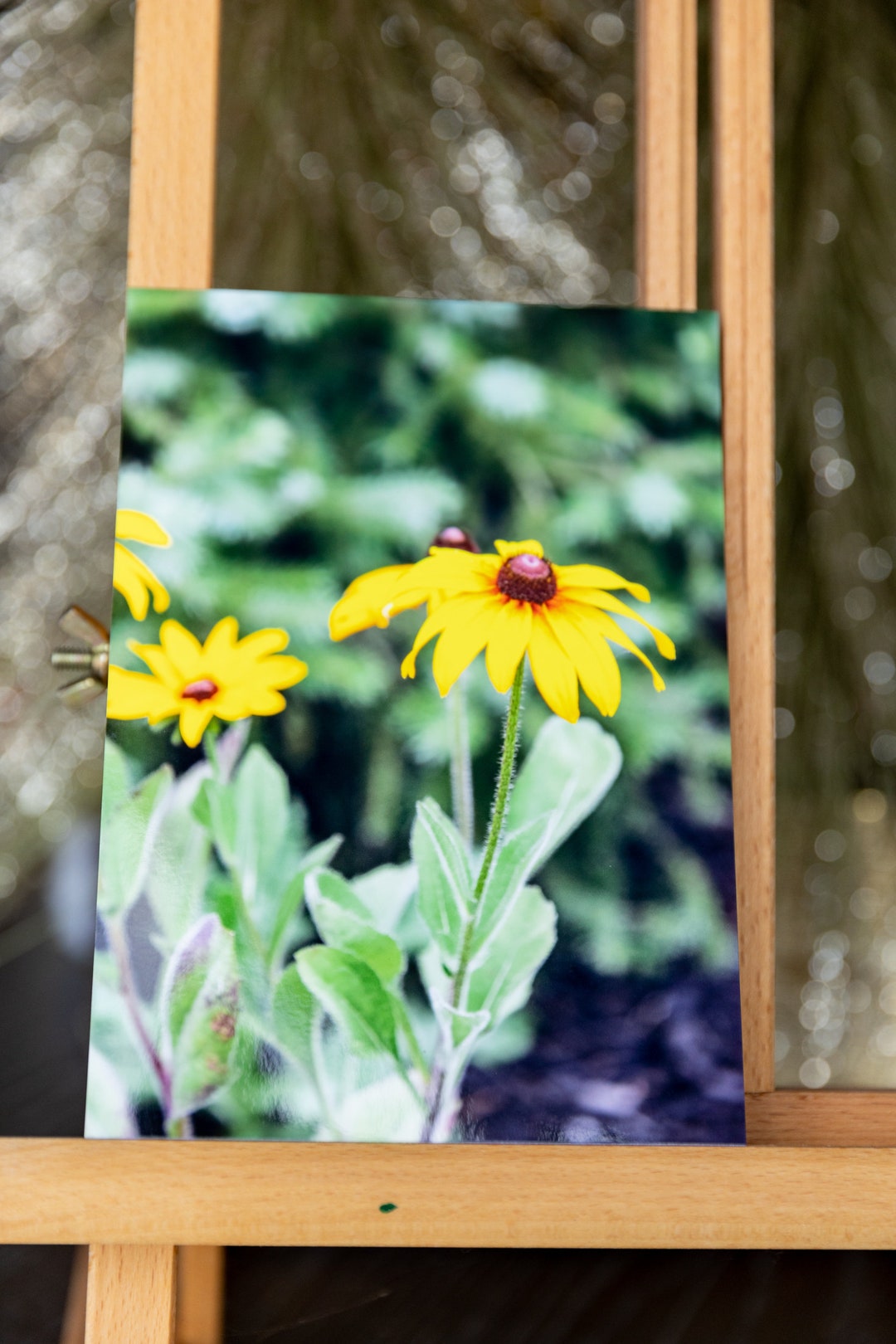 Yellow Daisy Floral 5x7 Wall Art Photo Print Etsy