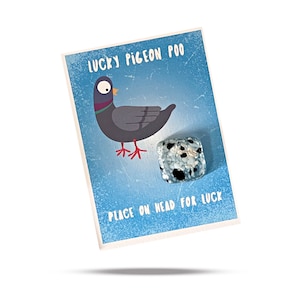 Lucky Fused Glass Poo keepsake