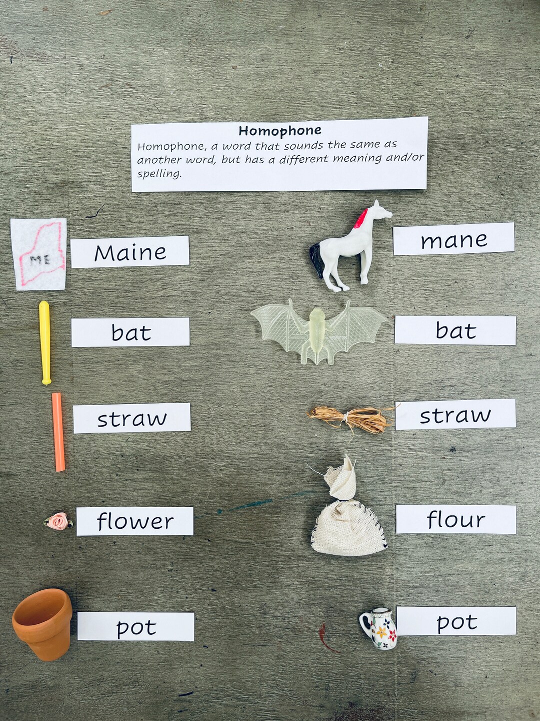 Montessori Language Homophones Set 1 - Etsy