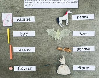 Montessori - Language - Homophones - Set 1