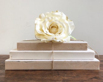 Neutral Decorative Book Stack: Beige Cream Painted Books