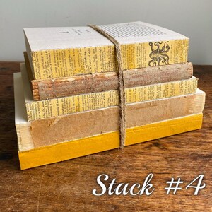 May include: A stack of five vintage books with yellowed pages and worn covers. The books are tied together with twine and have a yellow painted edge. The top book has a black and white illustration of an octopus on the cover.