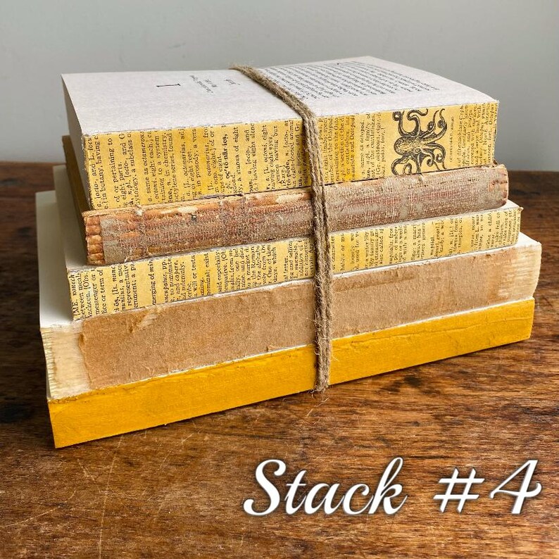 May include: A stack of five vintage books with yellowed pages and worn covers. The books are tied together with twine and have a yellow painted edge. The top book has a black and white illustration of an octopus on the cover.