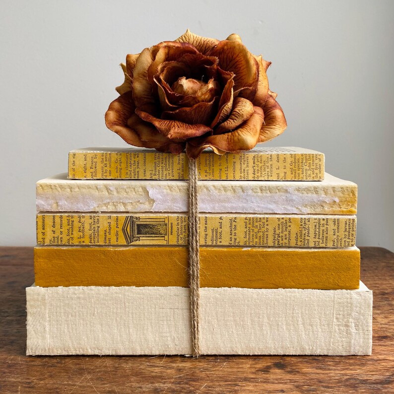 May include: A stack of vintage books with yellowed pages, tied together with twine, and topped with a dried, brown rose.