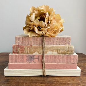 Rustic Decorative Book Set In Dusty Rose And Beige