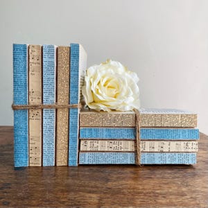 May include: Decorative book set with blue and beige covers, tied with twine. The books feature pages with musical notes and text. A large white rose rests on top of the books, adding a touch of elegance.