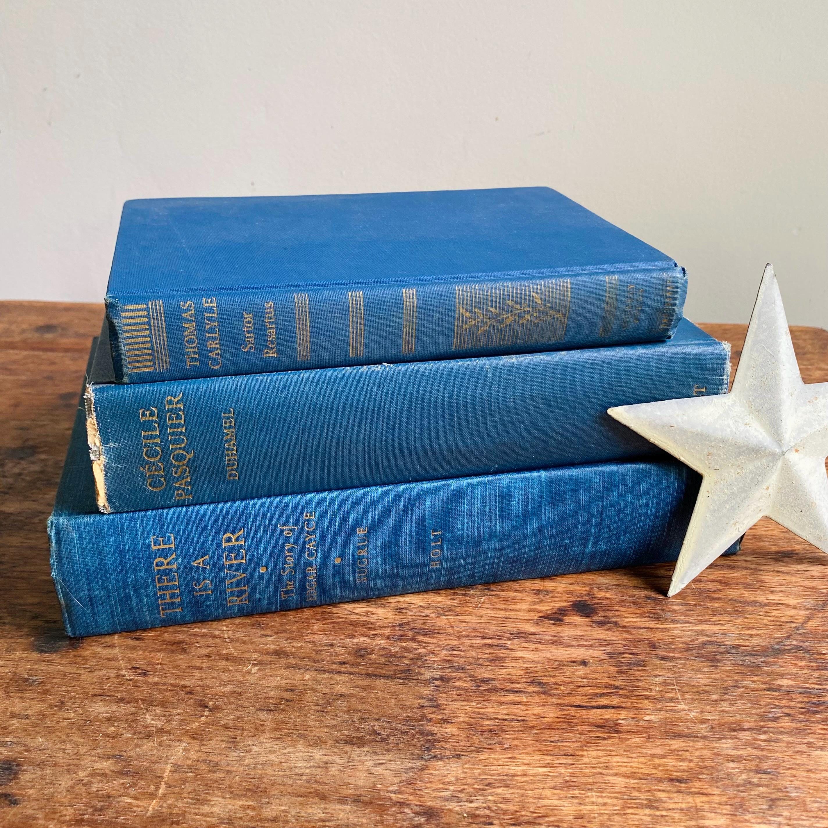 Blue and Gold Decorative Books - Etsy